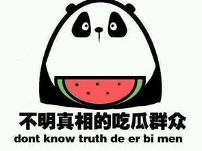 秋日吃瓜小说免费阅读,一场穿越时空的甜蜜邂逅