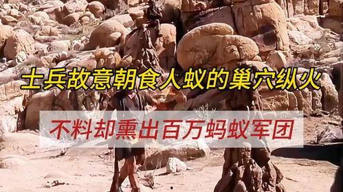 食人蚁军团在线观看,在线惊悚探险之旅 第1张 食人蚁军团在线观看,在线惊悚探险之旅 第1张