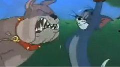 最新老鼠爆料视频下载安装,最新老鼠爆料视频下载安装全过程解析  第3张